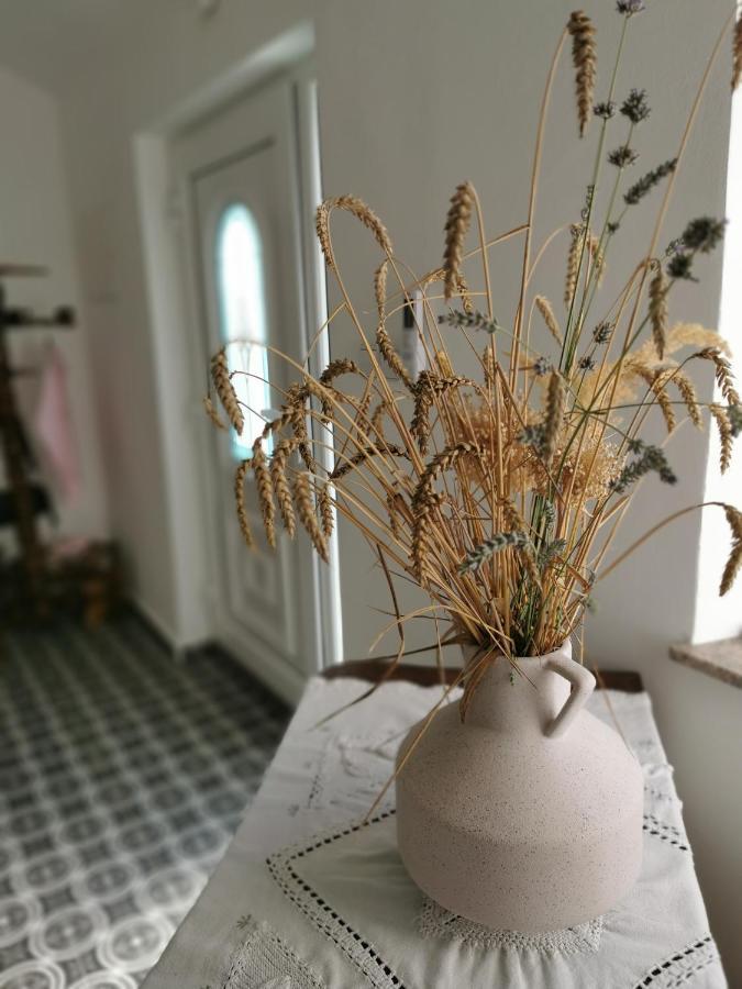 Charming Village House With Patio And Garden 斯洛文尼亚科尼采 外观 照片